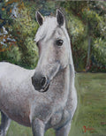 SPARKY -  Possible Commission