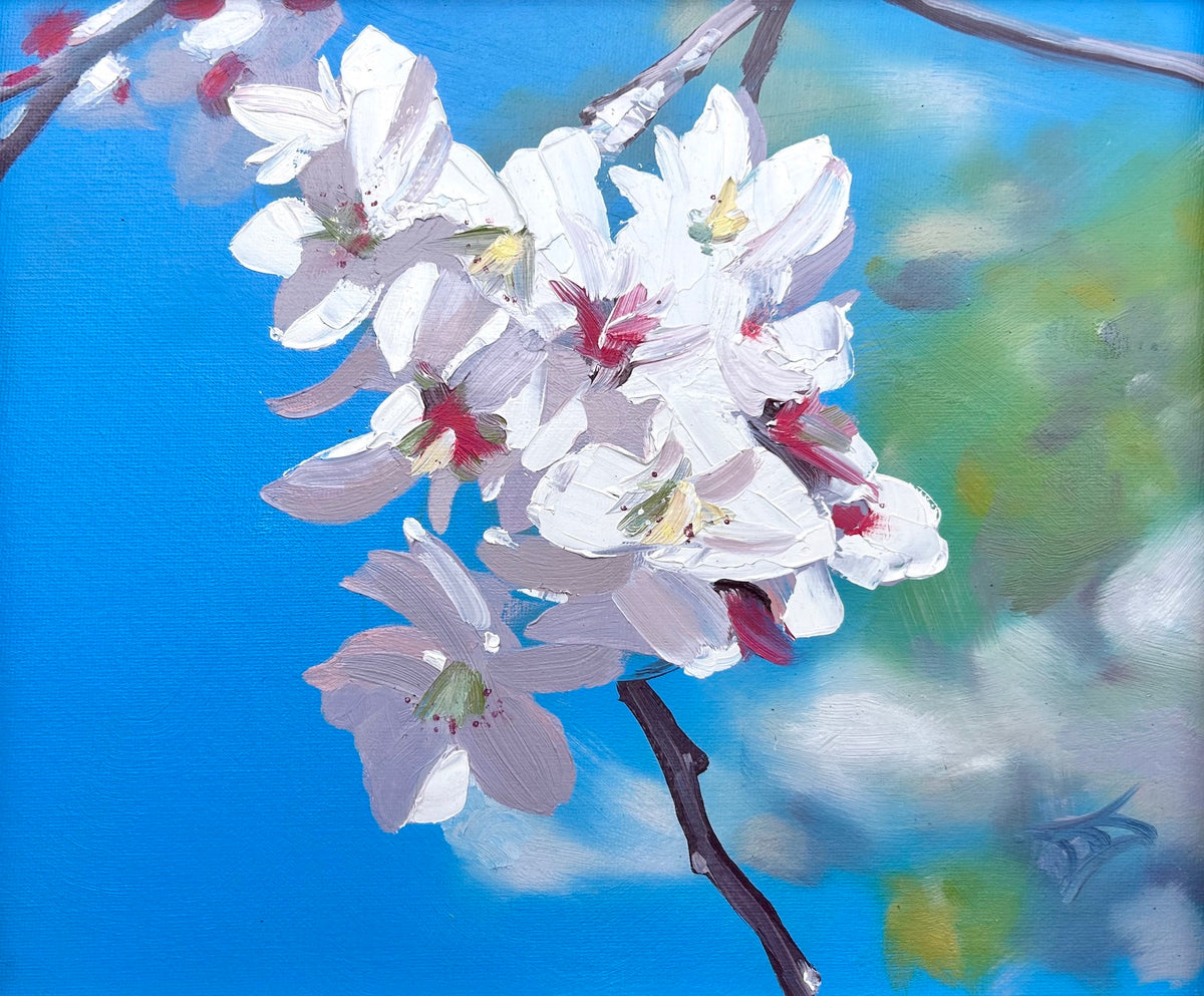 Spring Blossom
