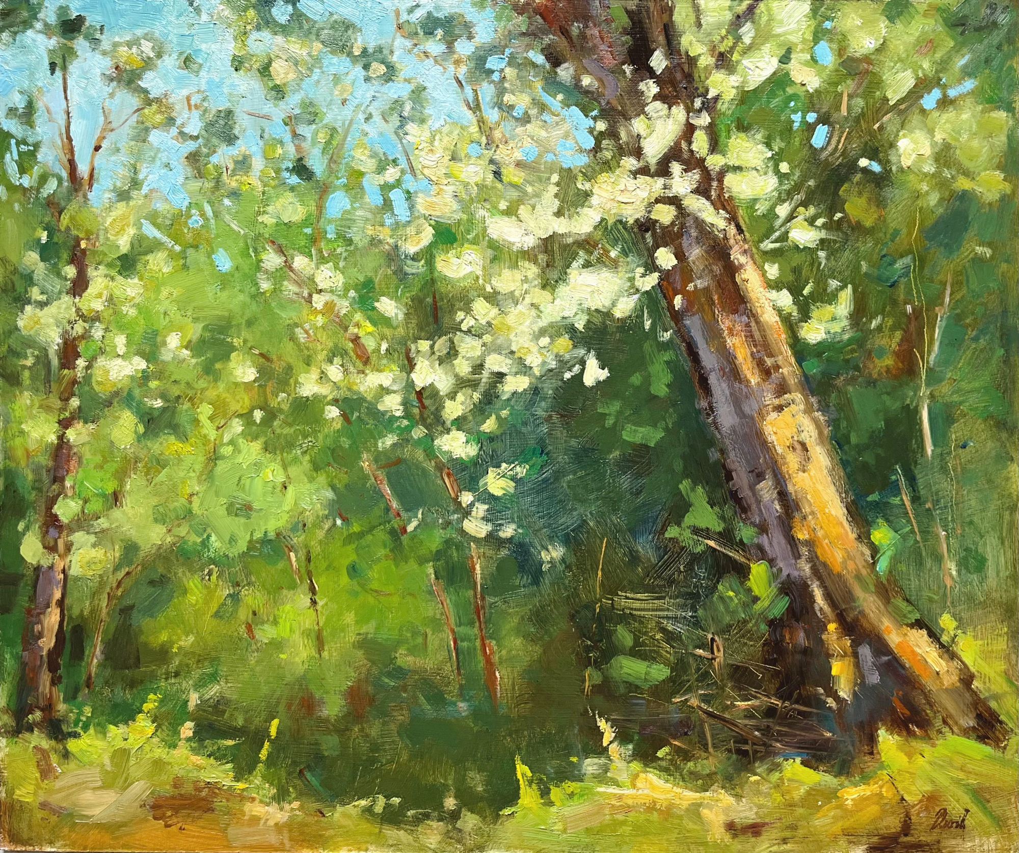 Spring's arrived