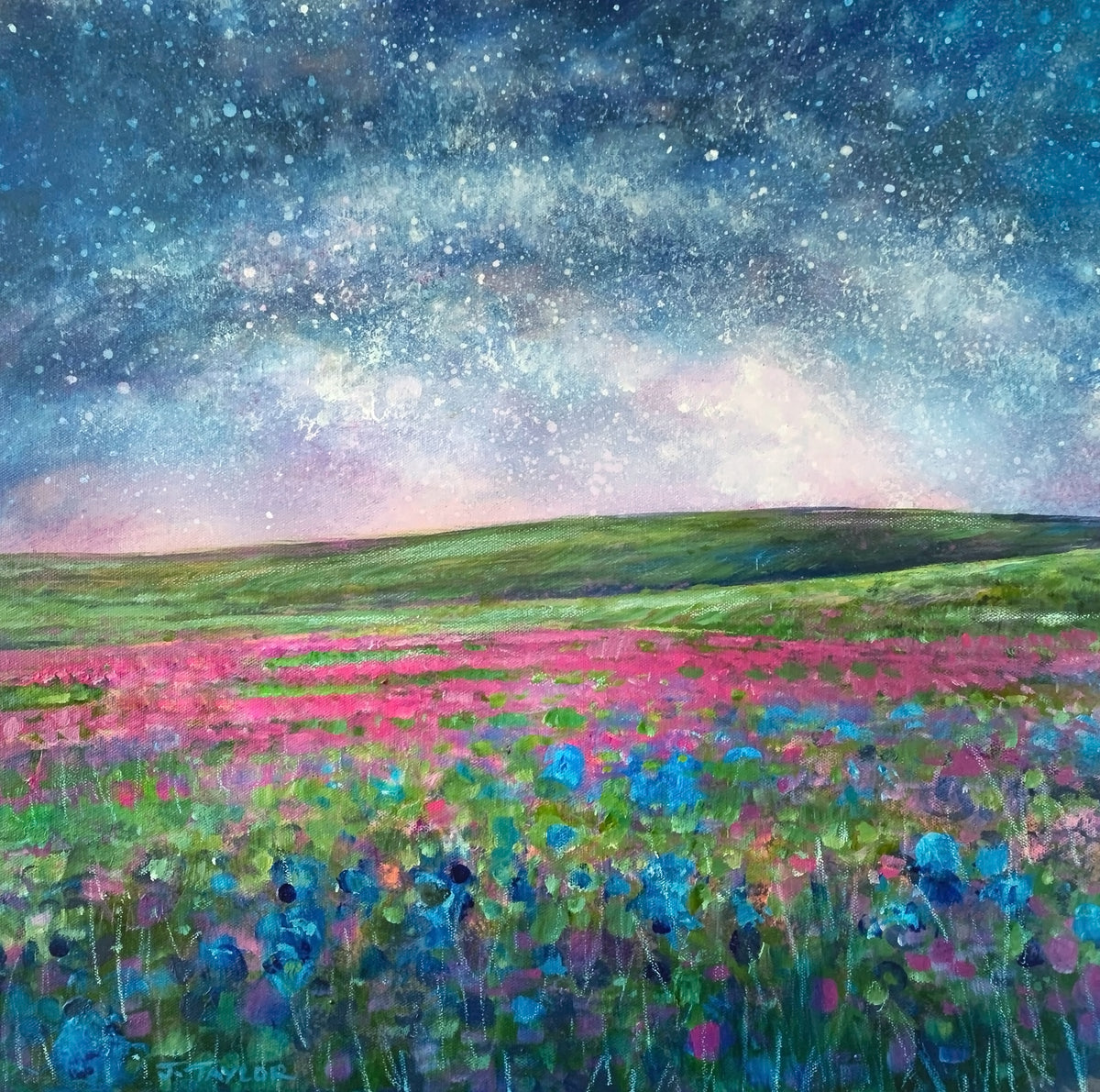 Under The Spring Stars