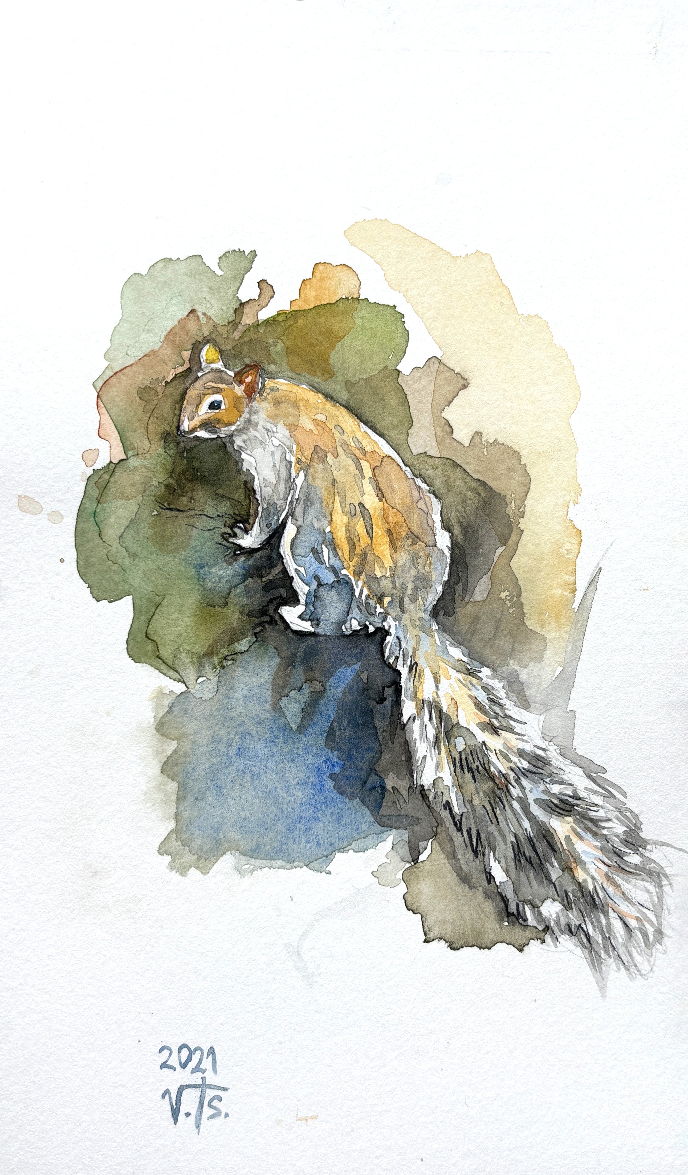 Squirrel