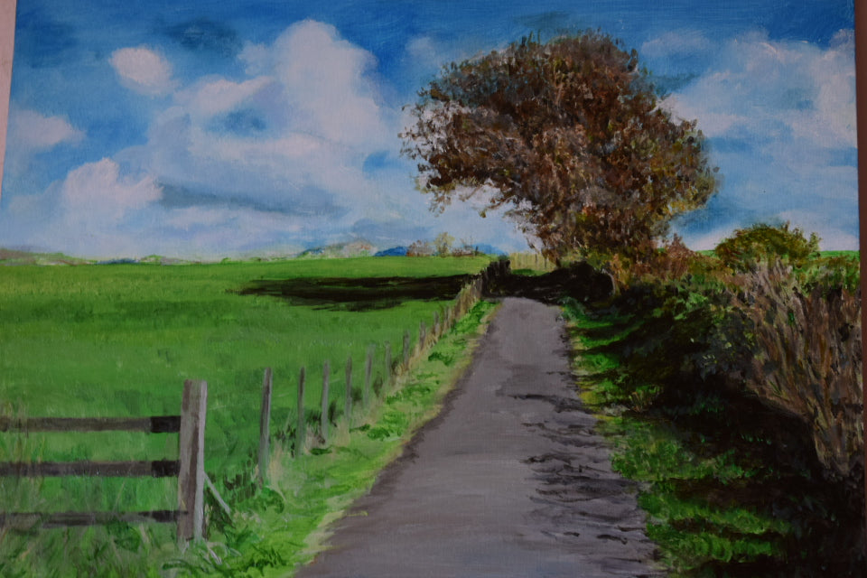 Viking Way Country Walk Cumbria