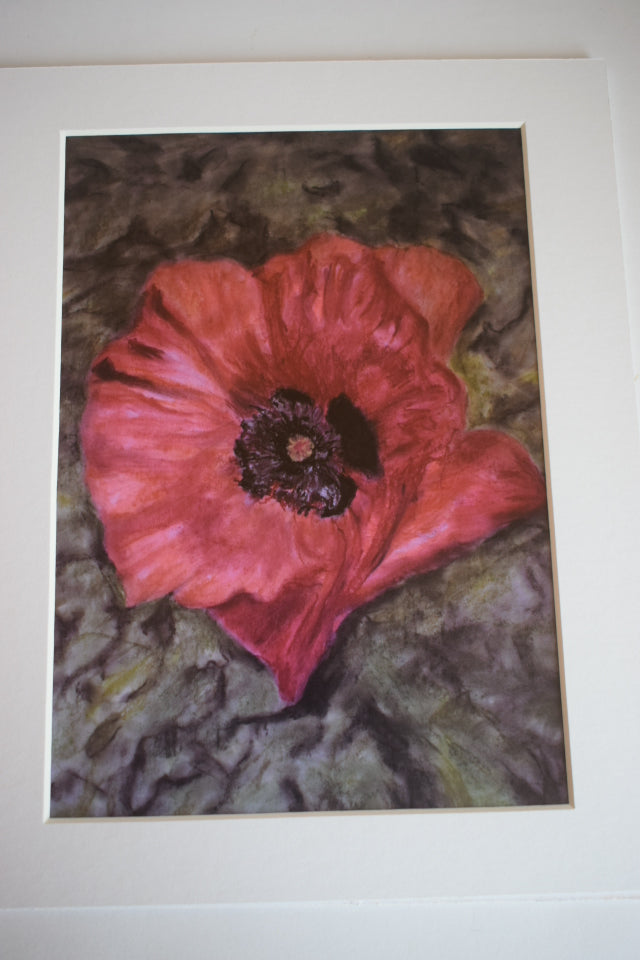 Poppy