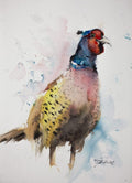 Standing Pheasant