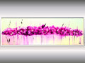 Magenta Whisper