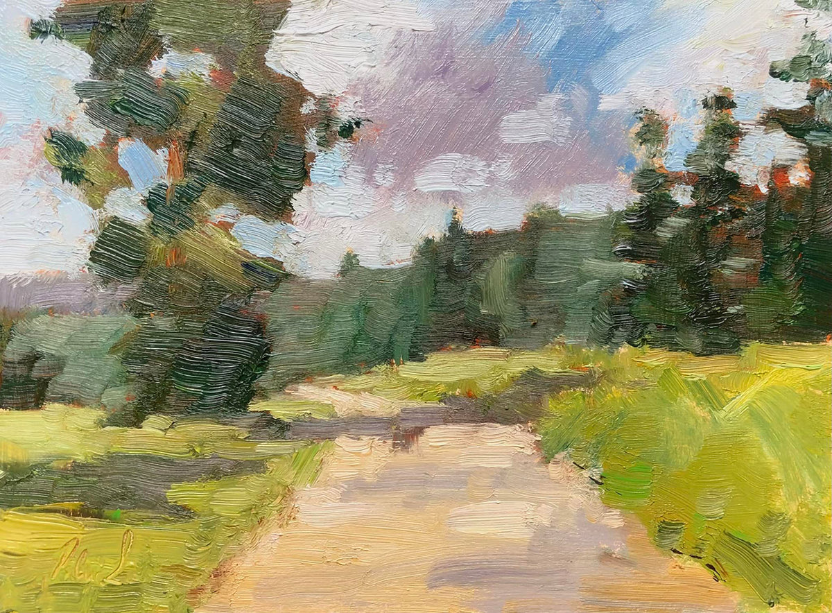 Road to Polednik