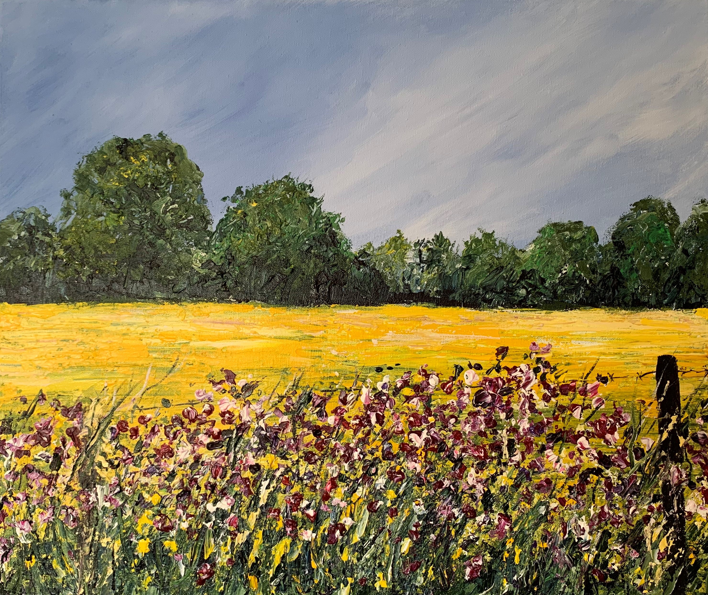 Fields of Colour