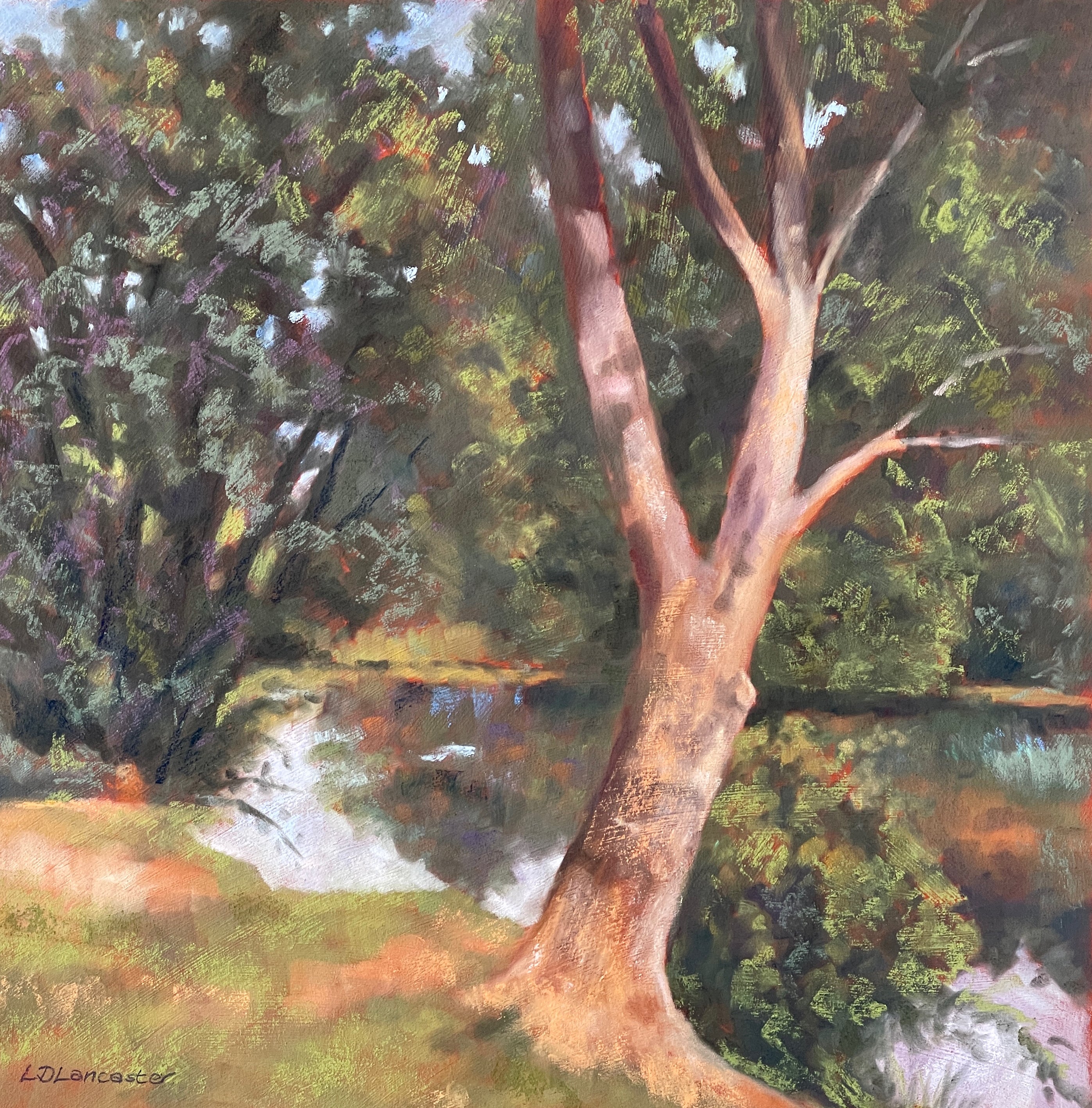 Summer By The Lake