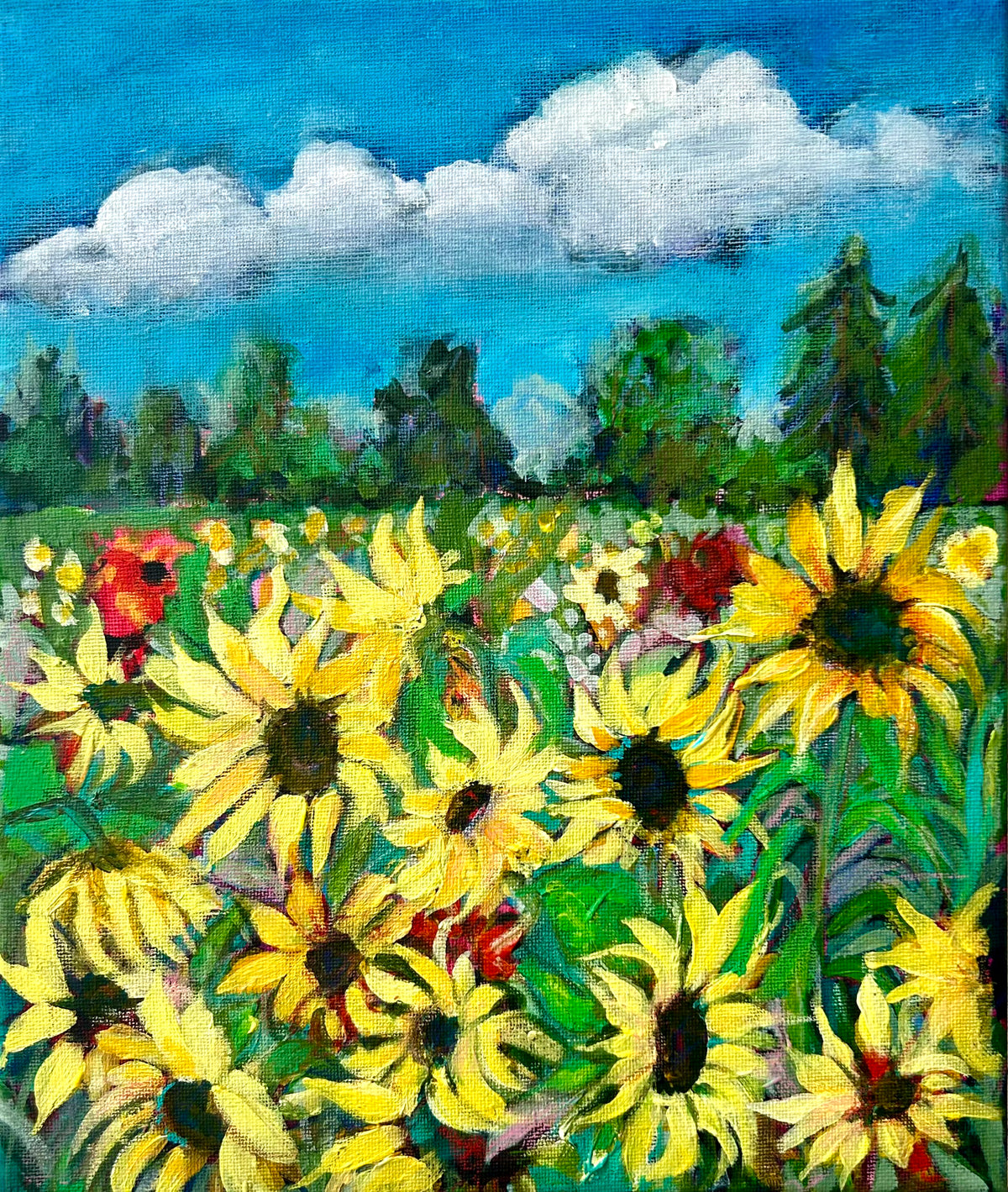 Field of Sunflowers