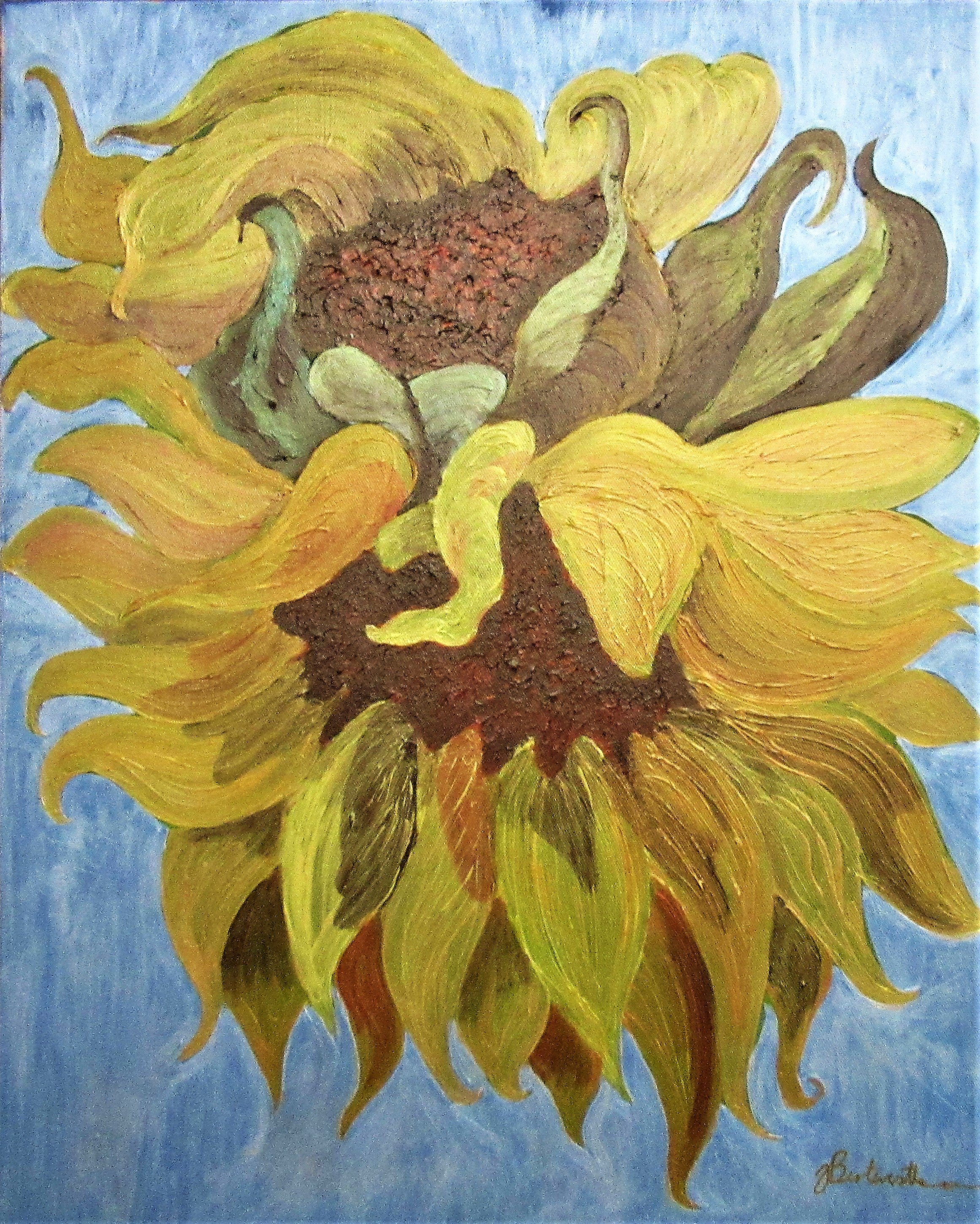 Sunflowers in the wind