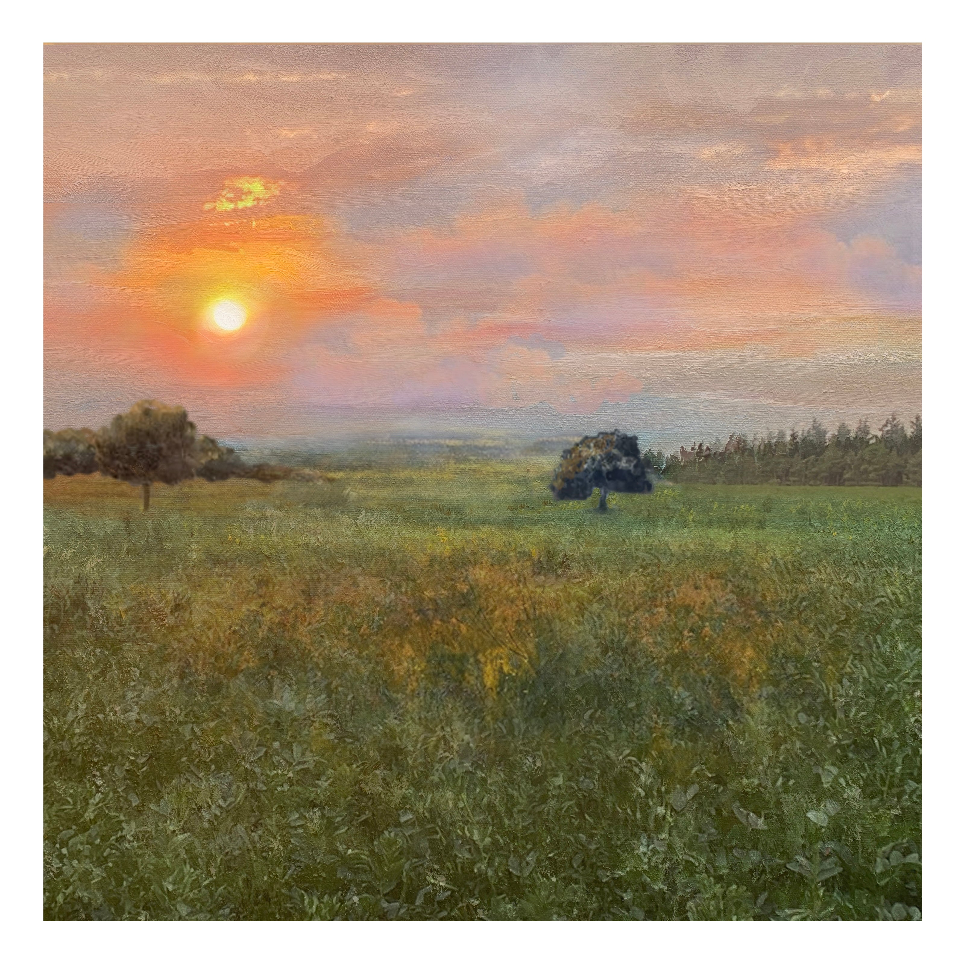 The Sunset over the Ridgeway