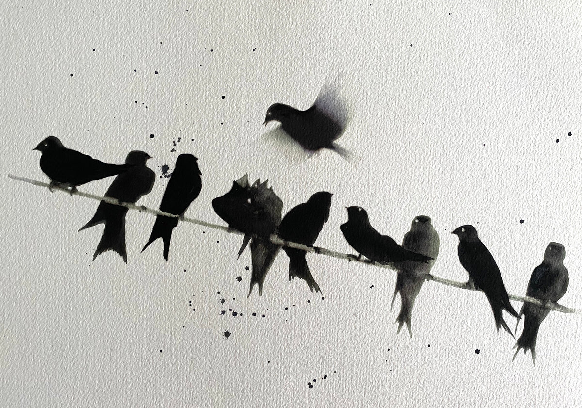 Row of Swallows on a wire