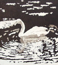 Swan at Cheverny