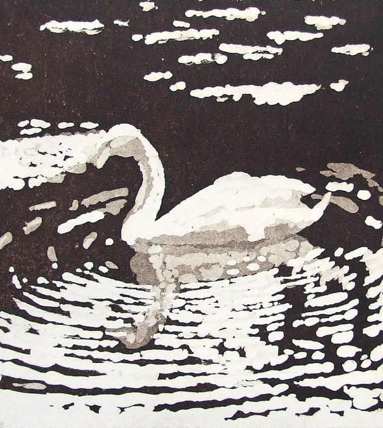 Swan at Cheverny