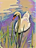 Swan Lake