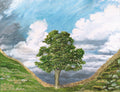 Sycamore Gap