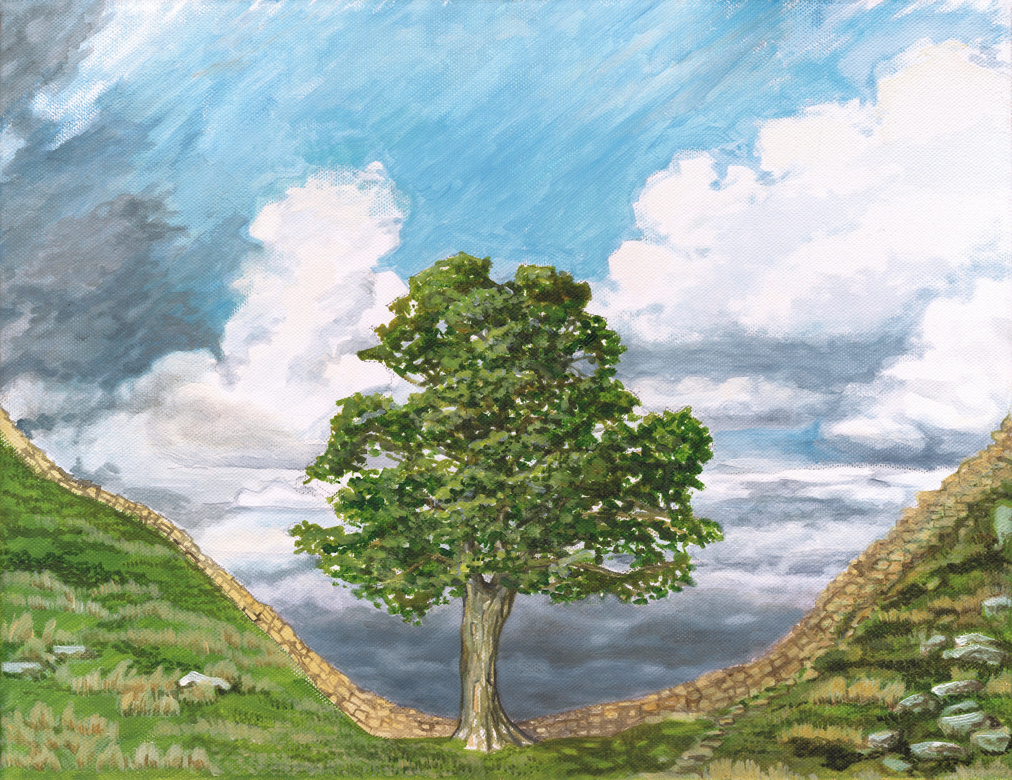 Sycamore Gap