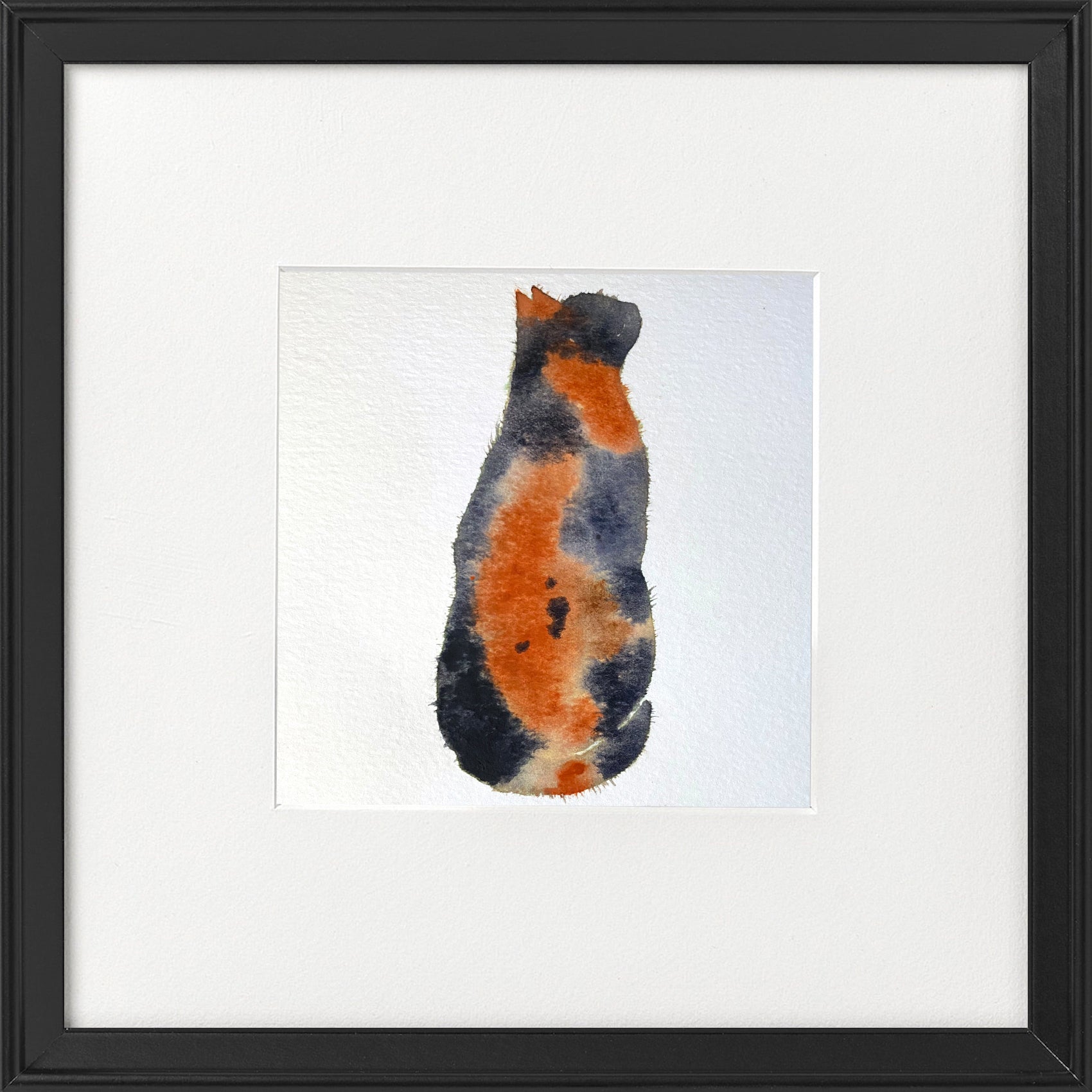 Tortoiseshell cat looking up