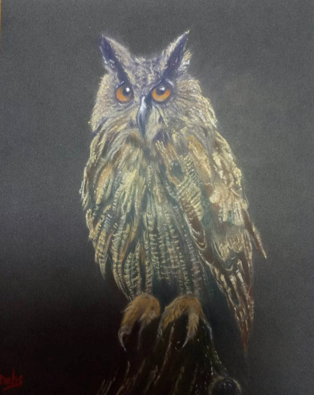 Tawny Owl