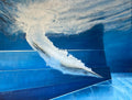 The Dive