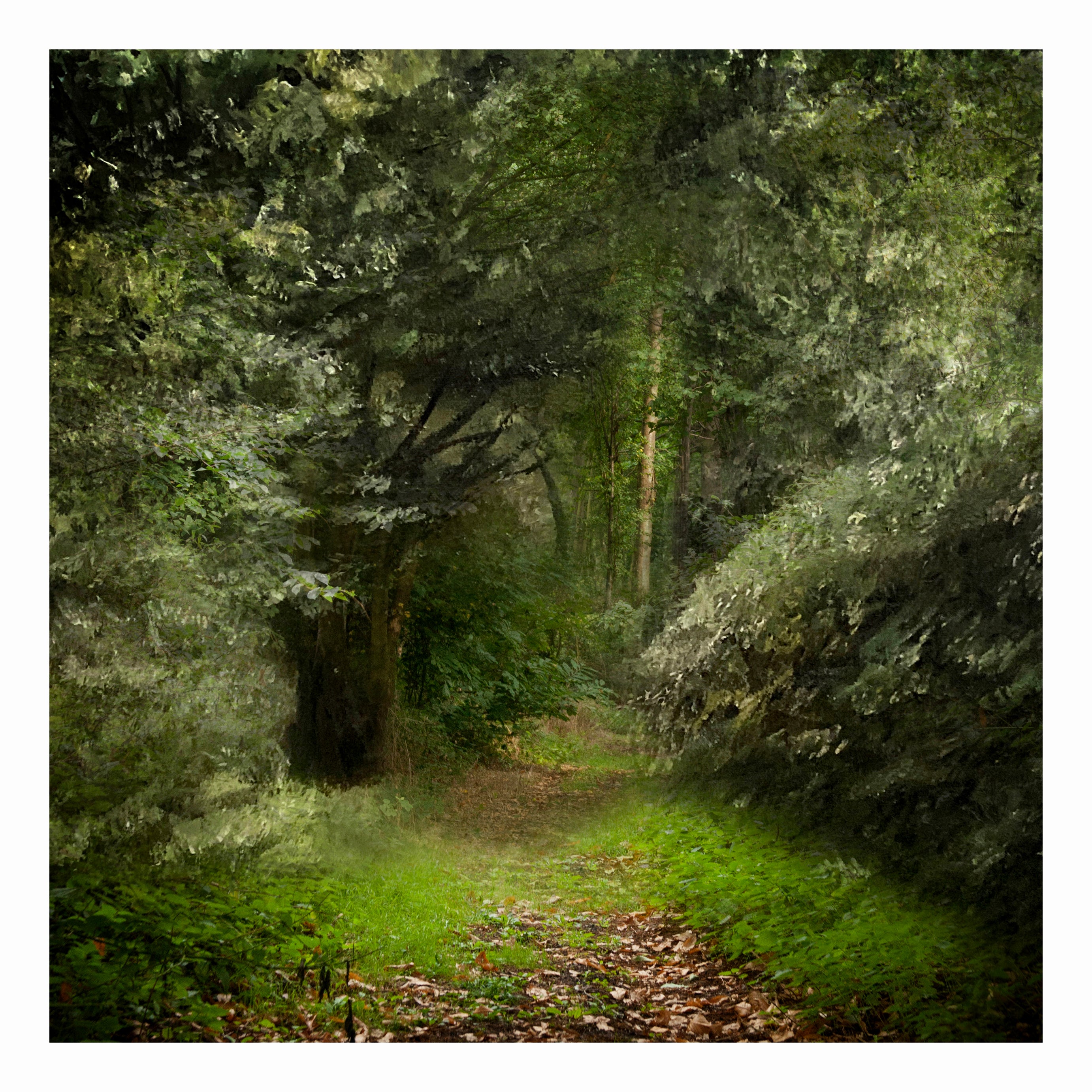 The Golden Path
