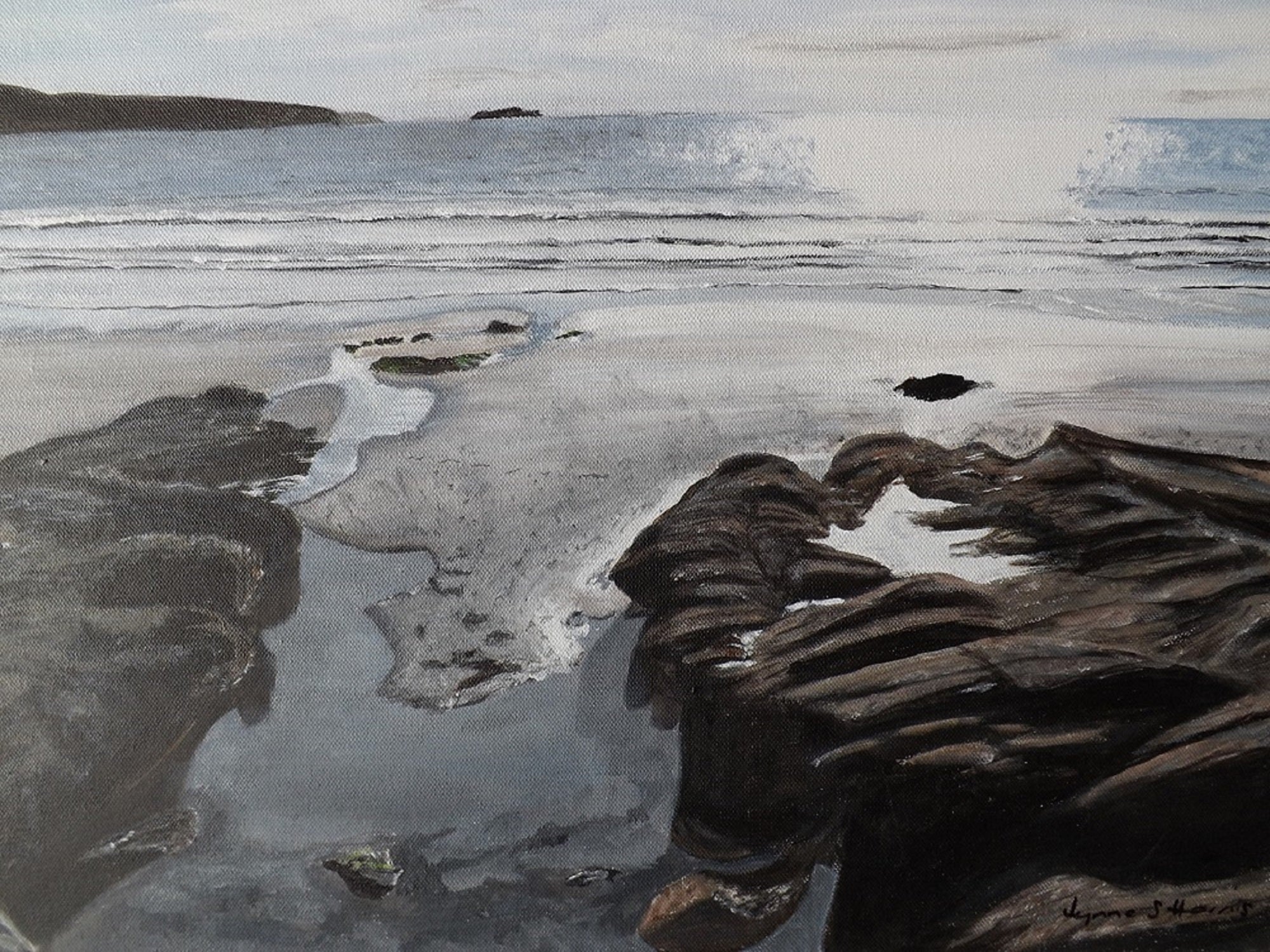 The Rock Pool