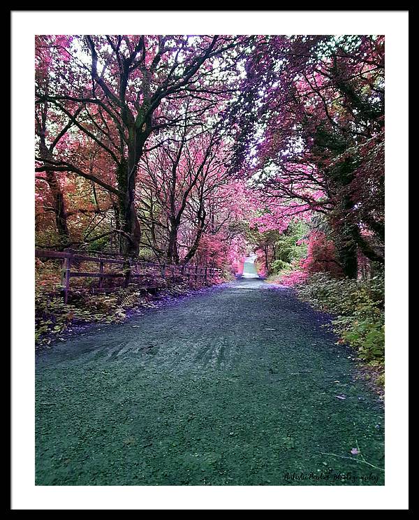 The Sandwell Reserve Park In Autumn Photography Print