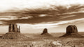 The Old Wild West
