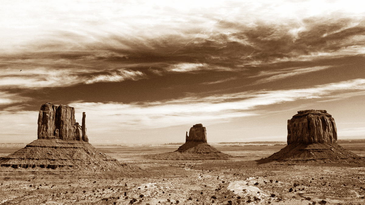 The Old Wild West