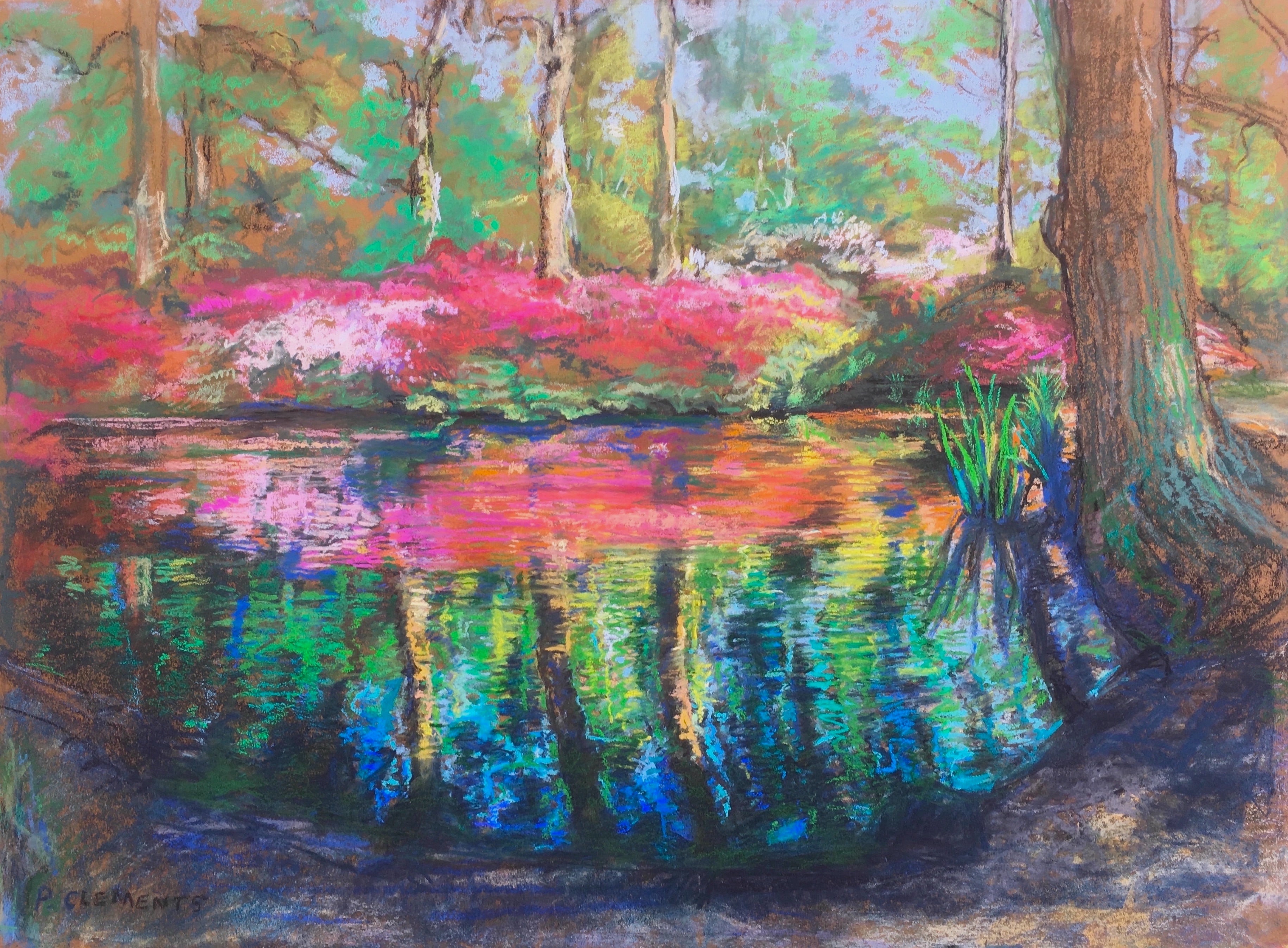 Reflections Isabella Plantation Richmond Park