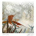 Three Coos (signed and numbered)