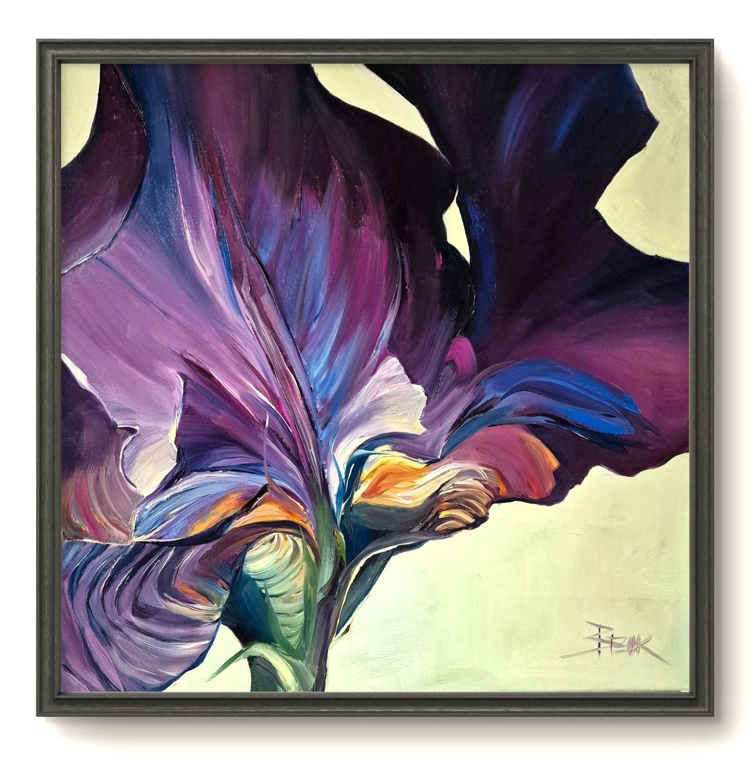 IRIS IV