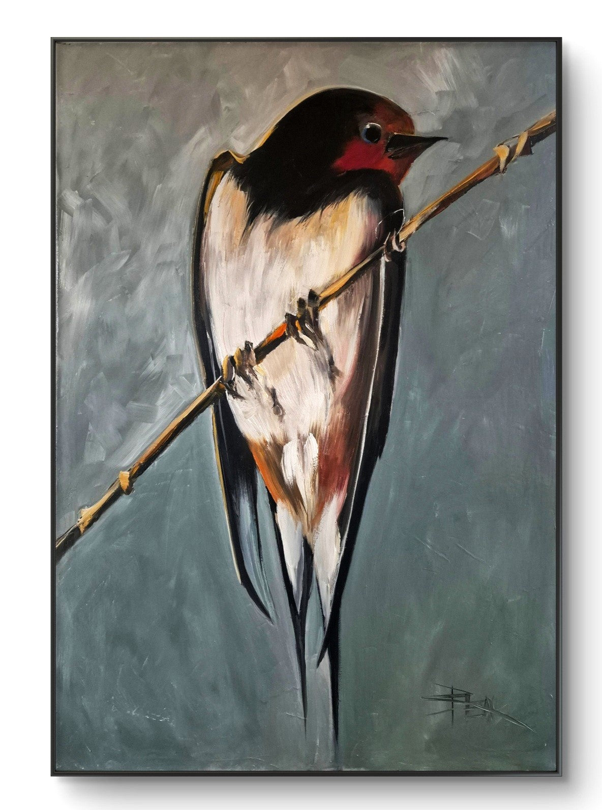 SWALLOW