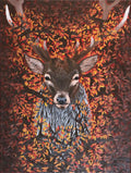 Eyes of the Woods