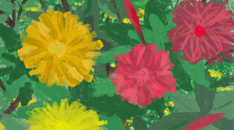 Hibiscus Impression