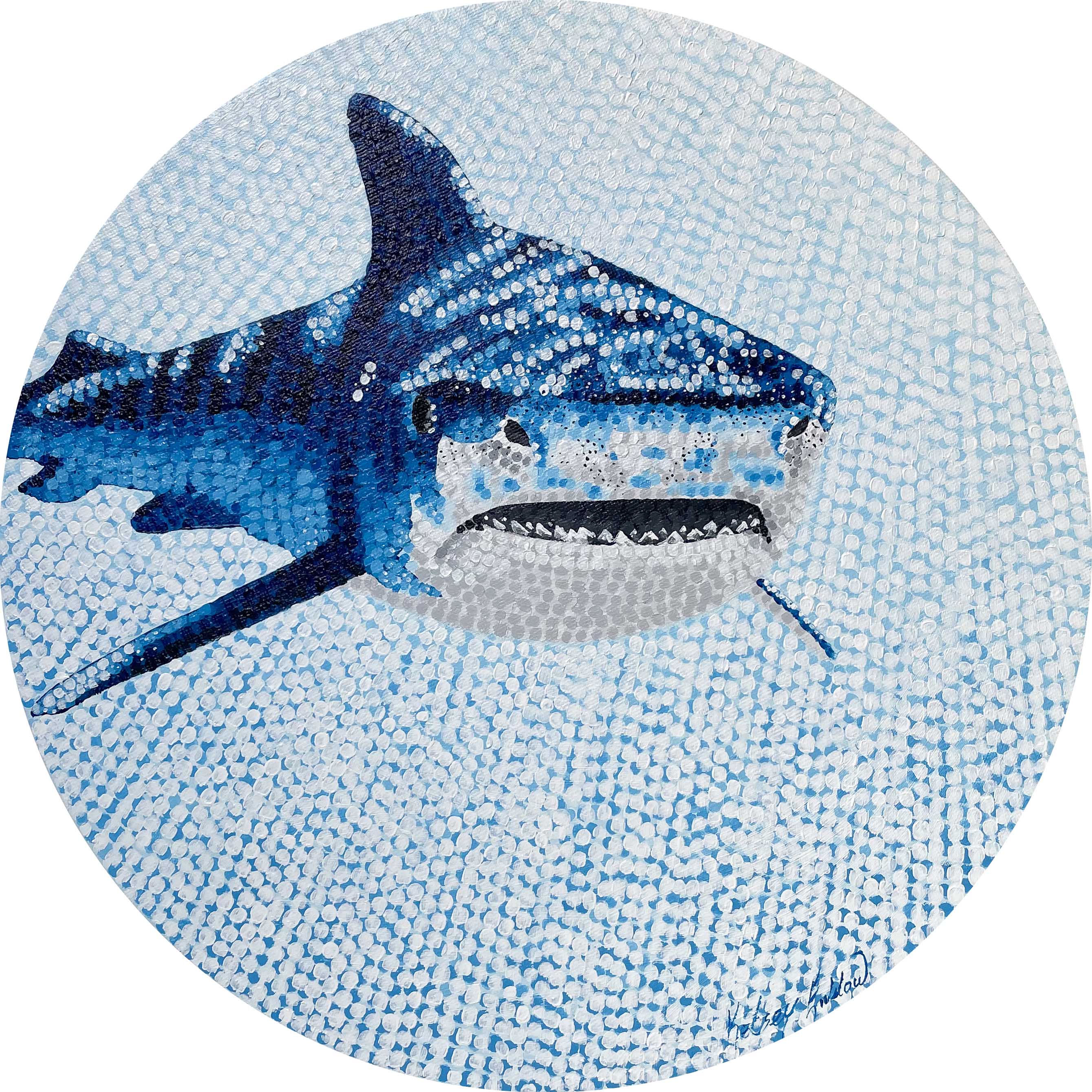 Tiger Shark