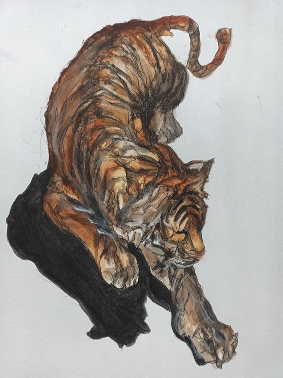 "Golden Stretch"