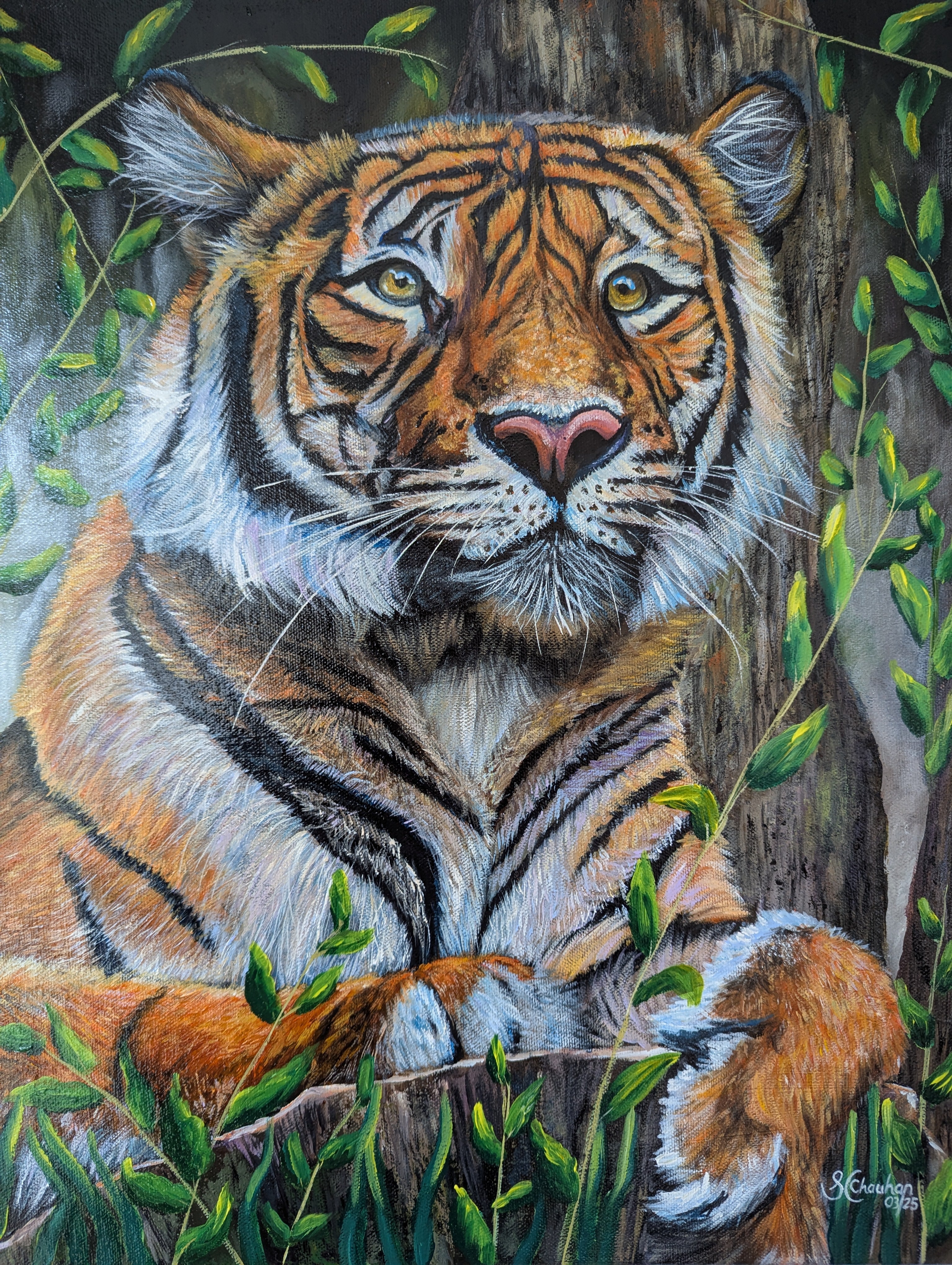 Tiger Stance