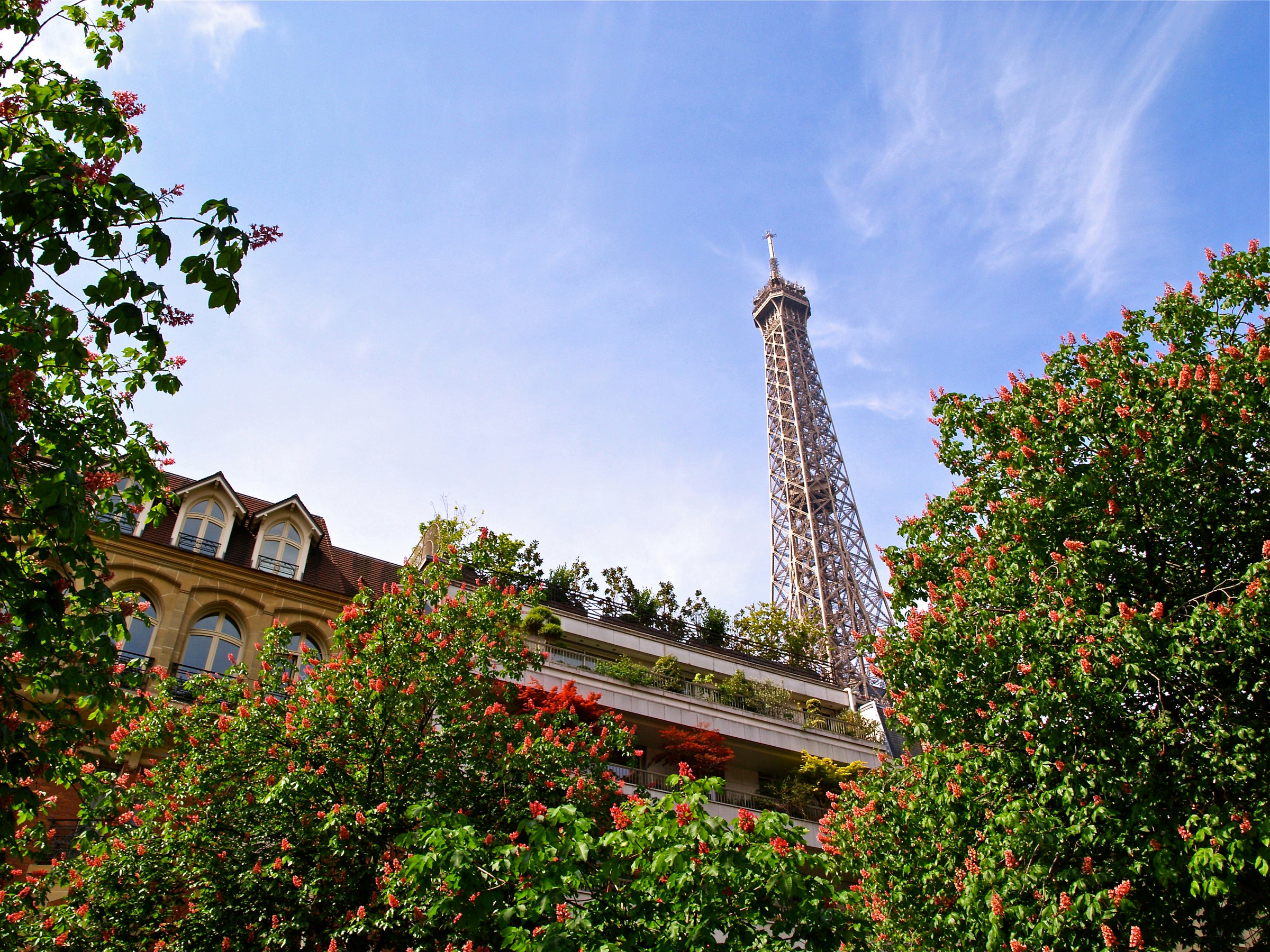 La Tour Eiffel au printemps