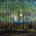 Tranquil Forest