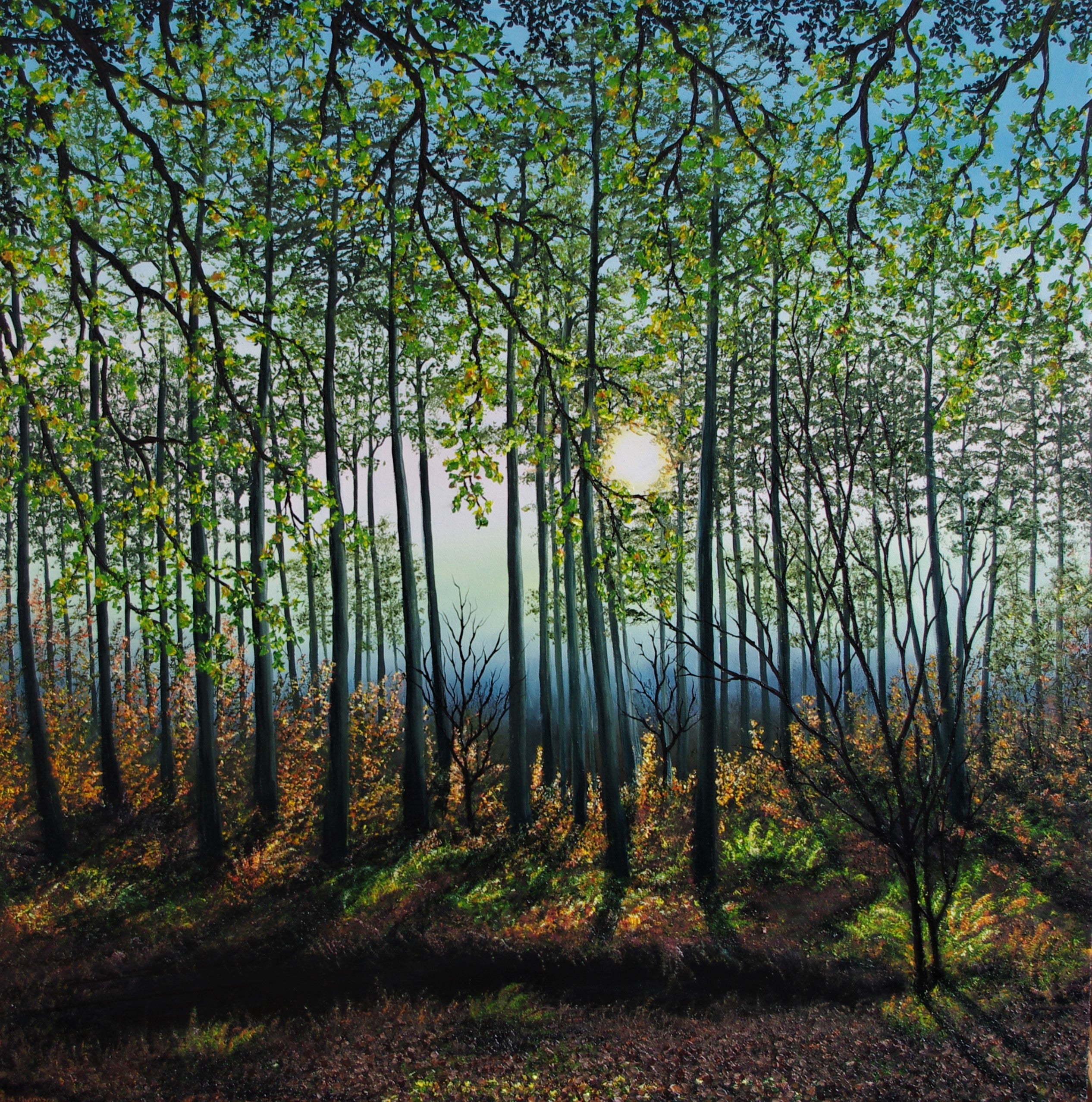 Tranquil Forest