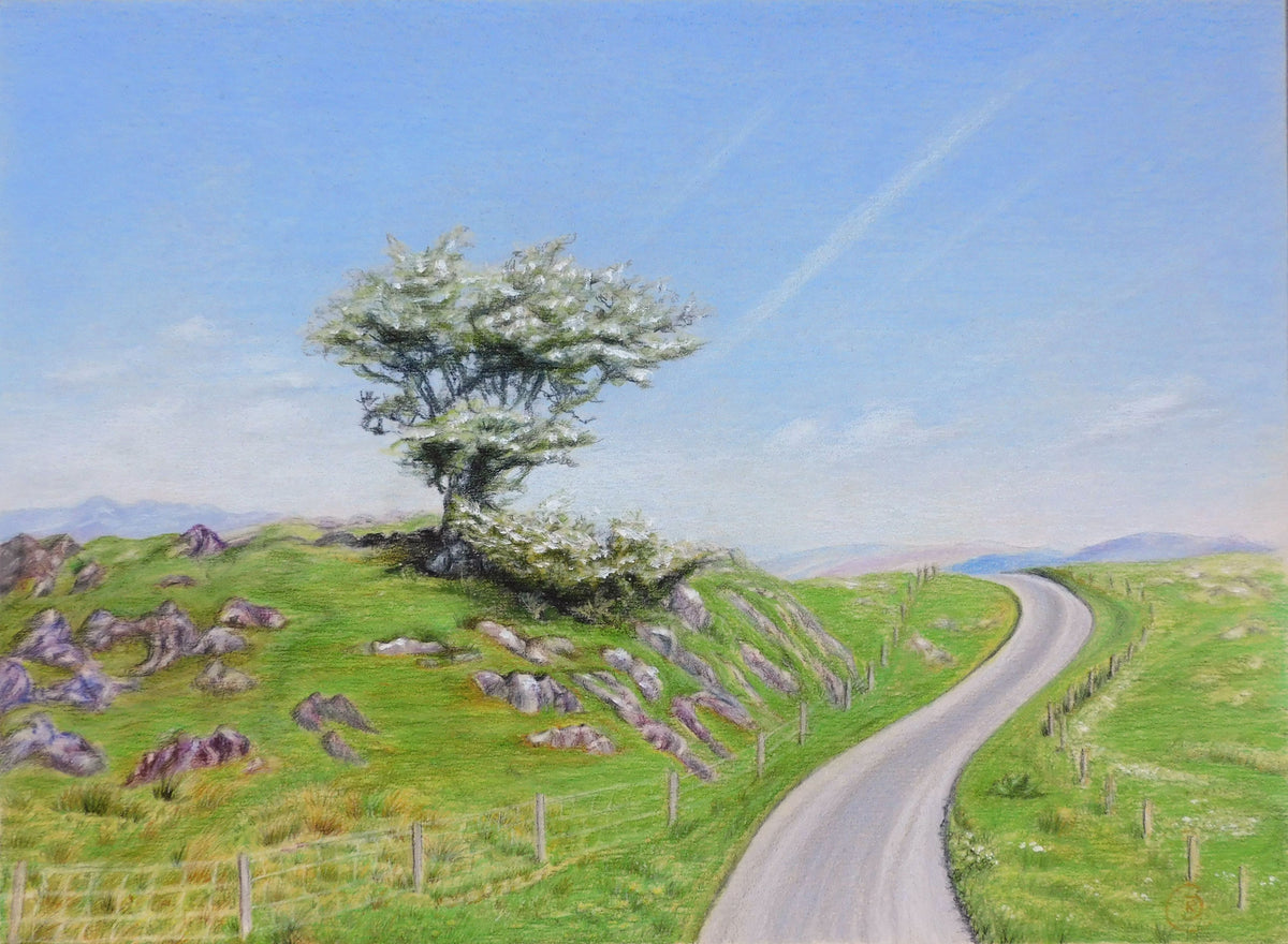 Scottish Landscape With a Tree, Stones, Road, and Green Grass
