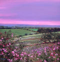 As Dusk Descends, Northumberland