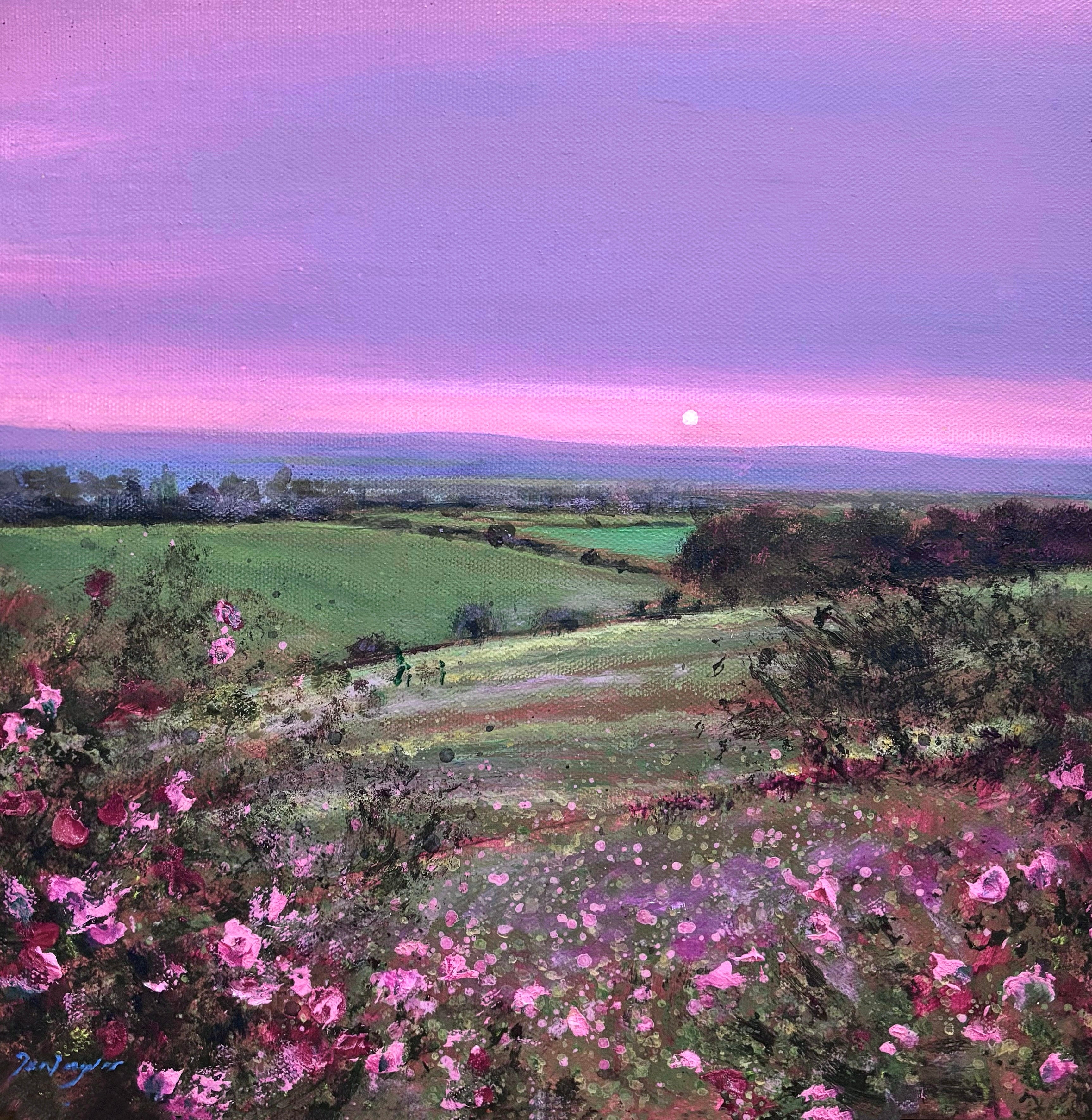 As Dusk Descends, Northumberland