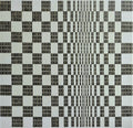A Tribute to Bridget Riley