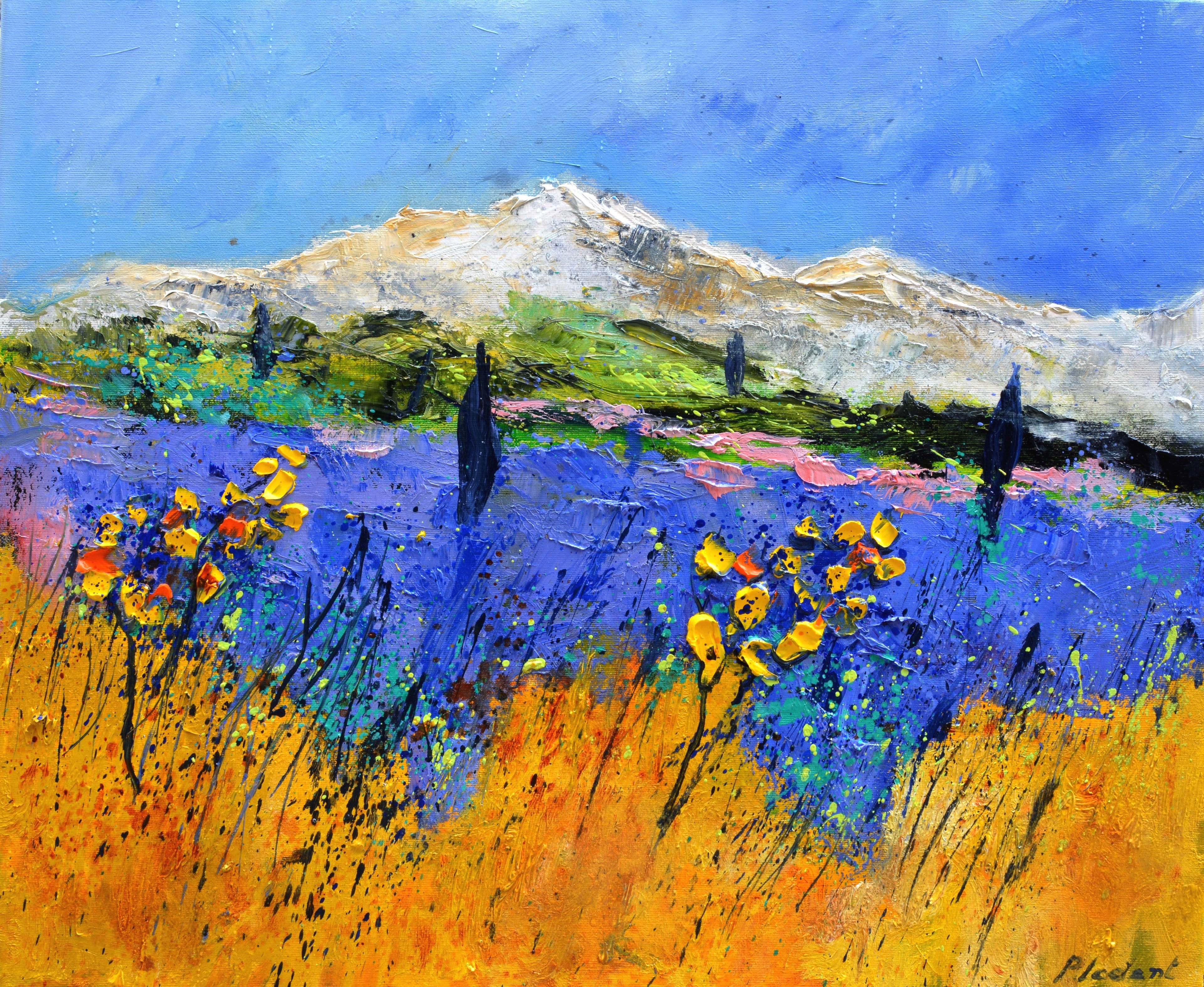 Summer in Provence