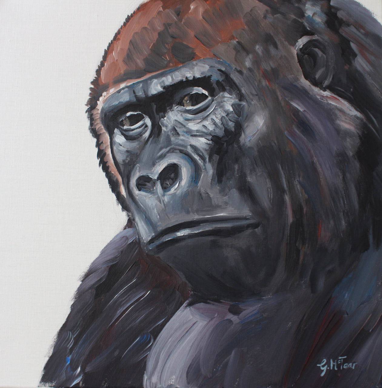 Gorilla