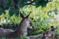 Kanga and Roo