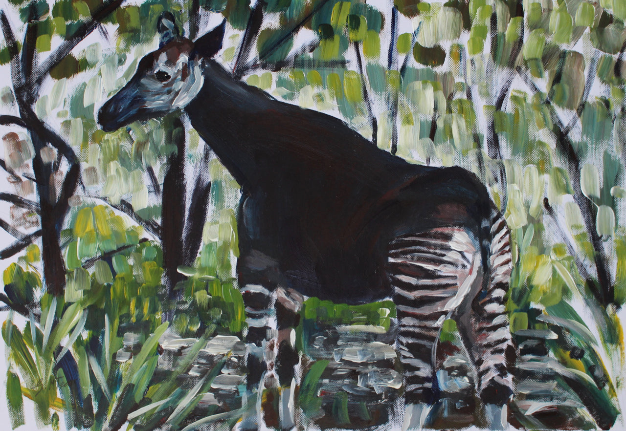 Okapi
