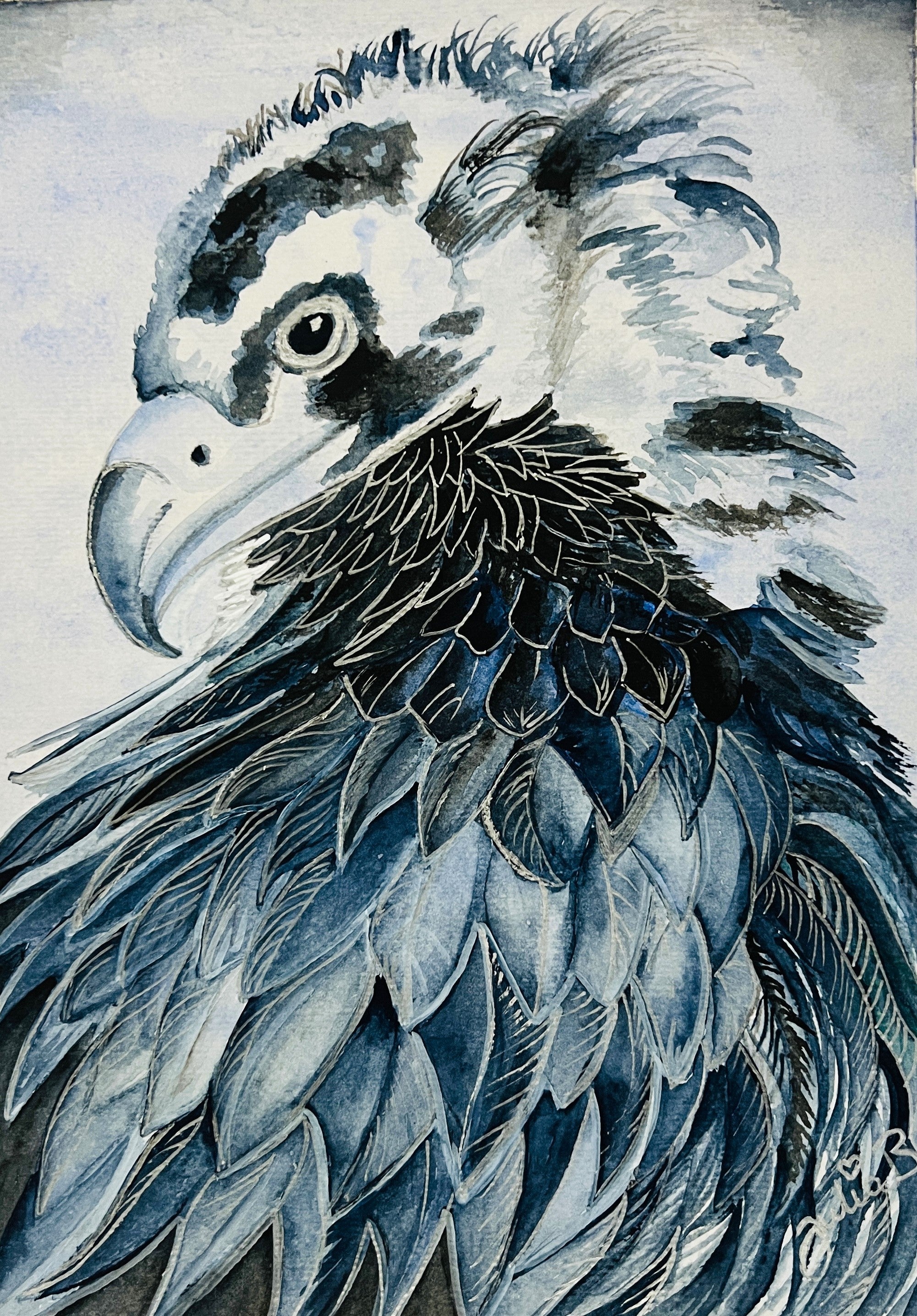Majestic Eagle